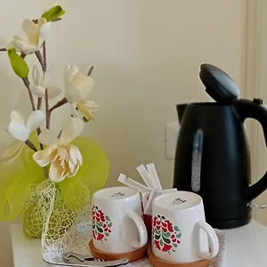 Bed & Breakfast Villino Luschi Centro, Pisa